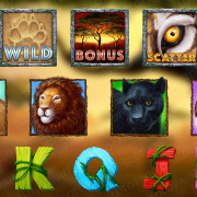 wild-cats_symbols